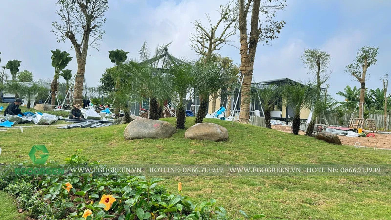 5 lỗi bố trí sân vườn khiến phong thủy Tết bị “mất lộc”